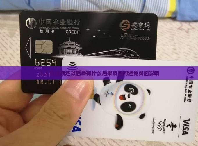 人人贷逾期还款后会有什么后果及如何避免负面影响