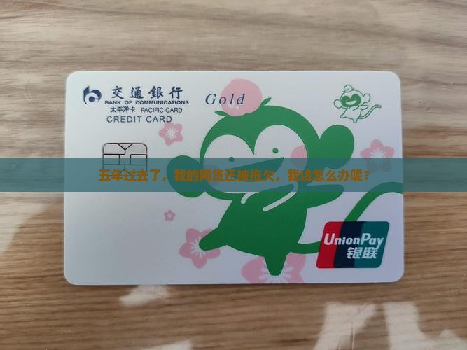 五年过去了，我的网贷还被拖欠，我该怎么办呢？