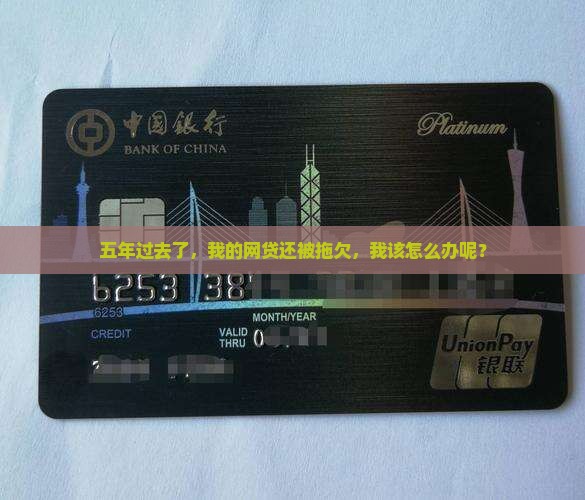 五年过去了，我的网贷还被拖欠，我该怎么办呢？
