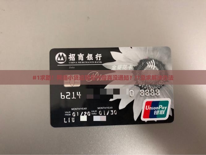 #1求助！网络小贷逾期后代偿真没通知？??急求解决办法