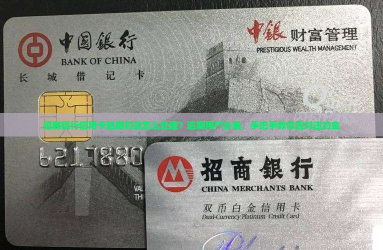 招商银行信用卡逾期罚款怎么处理？逾期用户必看，手把手教你应对违约金