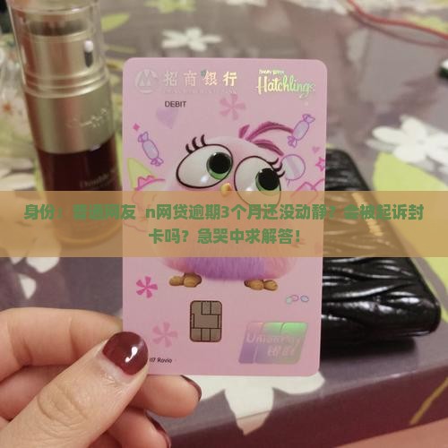 身份：普通网友  n网贷逾期3个月还没动静？会被起诉封卡吗？急哭中求解答！