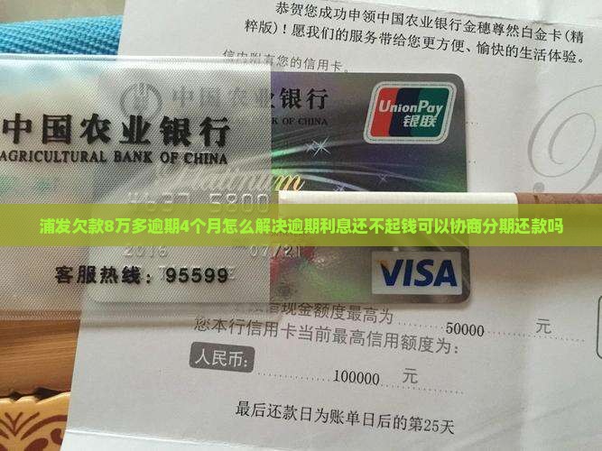 浦发欠款8万多逾期4个月怎么解决逾期利息还不起钱可以协商分期还款吗
