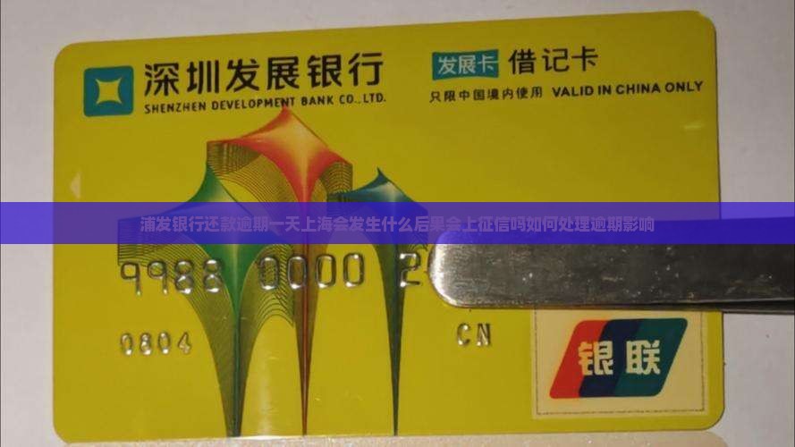 浦发银行还款逾期一天上海会发生什么后果会上征信吗如何处理逾期影响