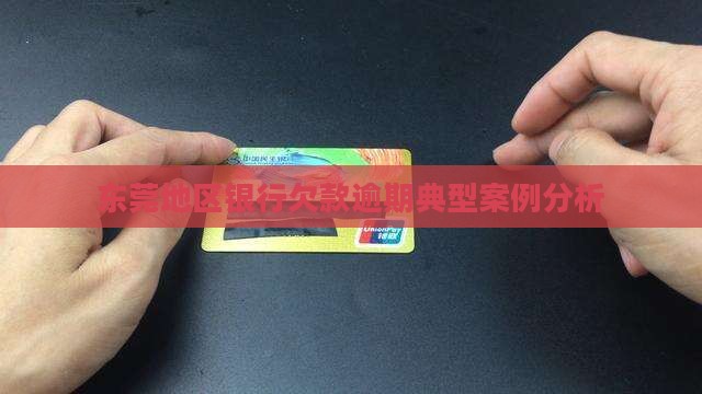 东莞地区银行欠款逾期典型案例分析