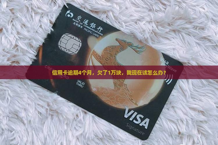 信用卡逾期4个月，欠了1万块，我现在该怎么办？