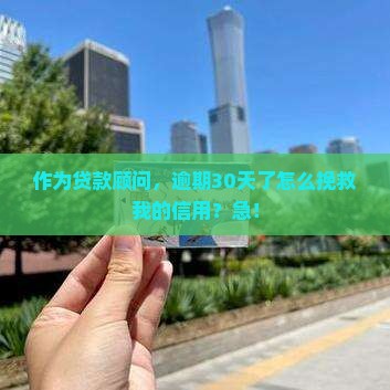 作为贷款顾问，逾期30天了怎么挽救我的信用？急！