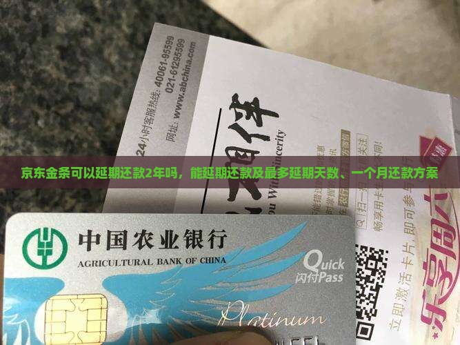 京东金条可以延期还款2年吗，能延期还款及最多延期天数、一个月还款方案