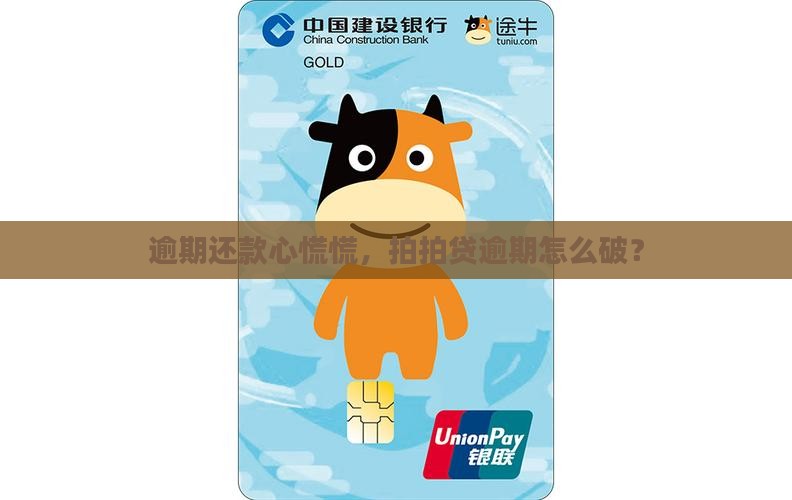 逾期还款心慌慌，拍拍贷逾期怎么破？