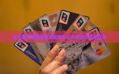 企业建行惠懂你贷款逾期怎么办及续贷流程详解