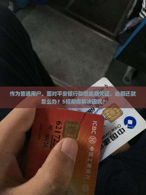 作为普通用户，面对平安银行赊呗逾期凭证，逾期还款怎么办？5招帮你解决困扰！