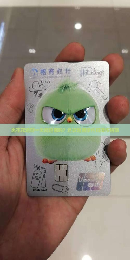 惠花花逾期一天能延期吗？还款延期条件和操作指南