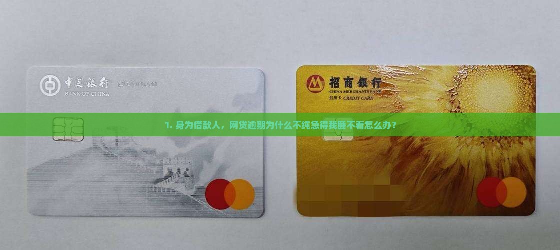 1. 身为借款人，网贷逾期为什么不纯急得我睡不着怎么办？