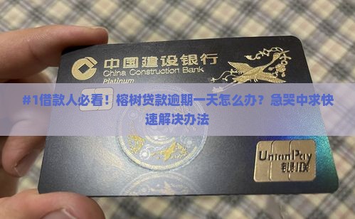 #1借款人必看！榕树贷款逾期一天怎么办？急哭中求快速解决办法
