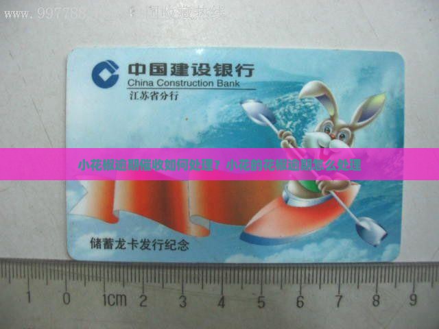 小花椒逾期催收如何处理？小花的花椒逾期怎么处理