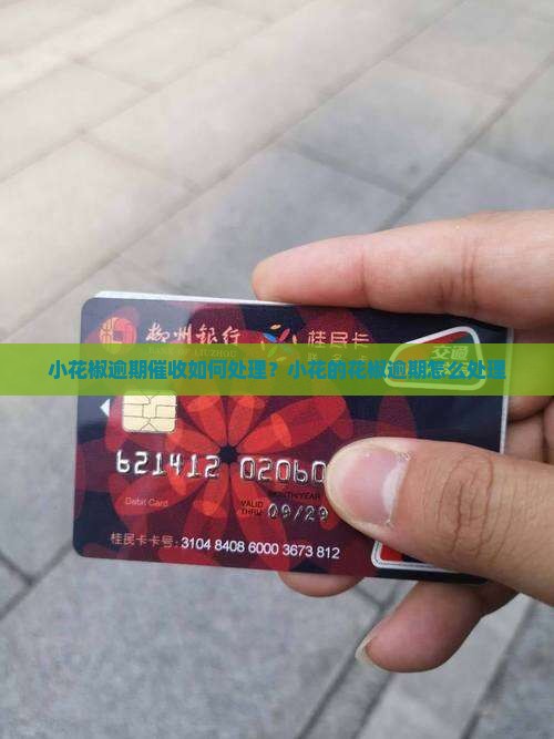 小花椒逾期催收如何处理？小花的花椒逾期怎么处理