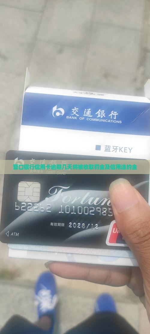 营口银行信用卡逾期几天将被收取罚金及信用违约金