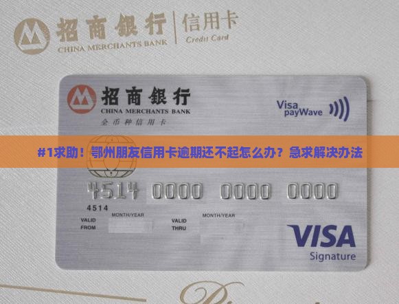 #1求助！鄂州朋友信用卡逾期还不起怎么办？急求解决办法