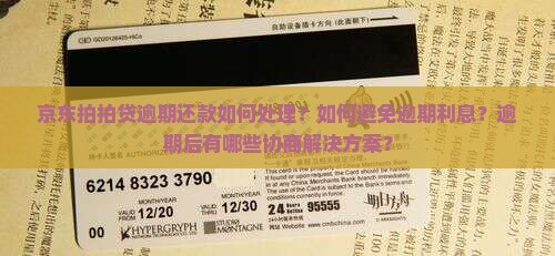 京东拍拍贷逾期还款如何处理？如何避免逾期利息？逾期后有哪些协商解决方案？