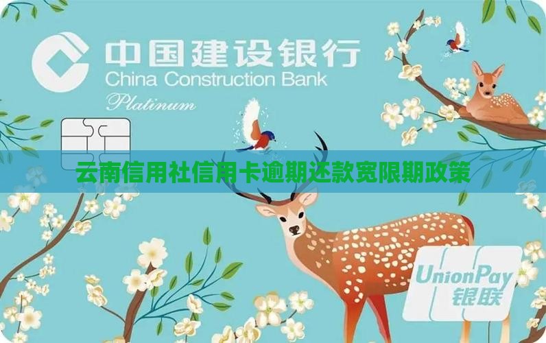 云南信用社信用卡逾期还款宽限期政策