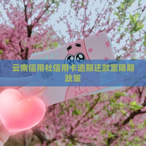 云南信用社信用卡逾期还款宽限期政策