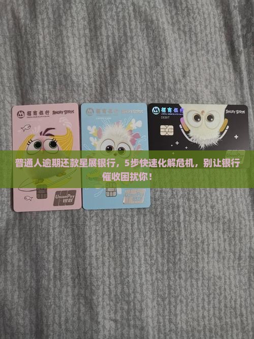 普通人逾期还款星展银行，5步快速化解危机，别让银行催收困扰你！