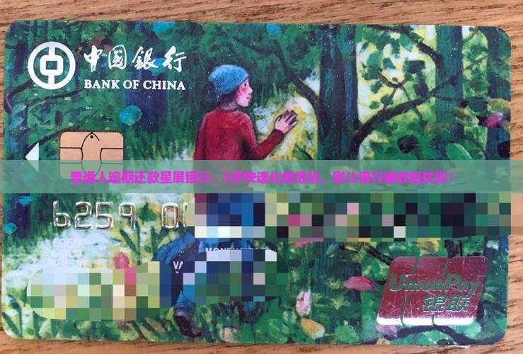 普通人逾期还款星展银行，5步快速化解危机，别让银行催收困扰你！