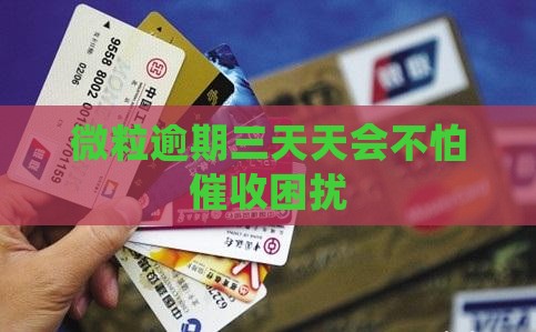 微粒逾期三天天会不怕催收困扰