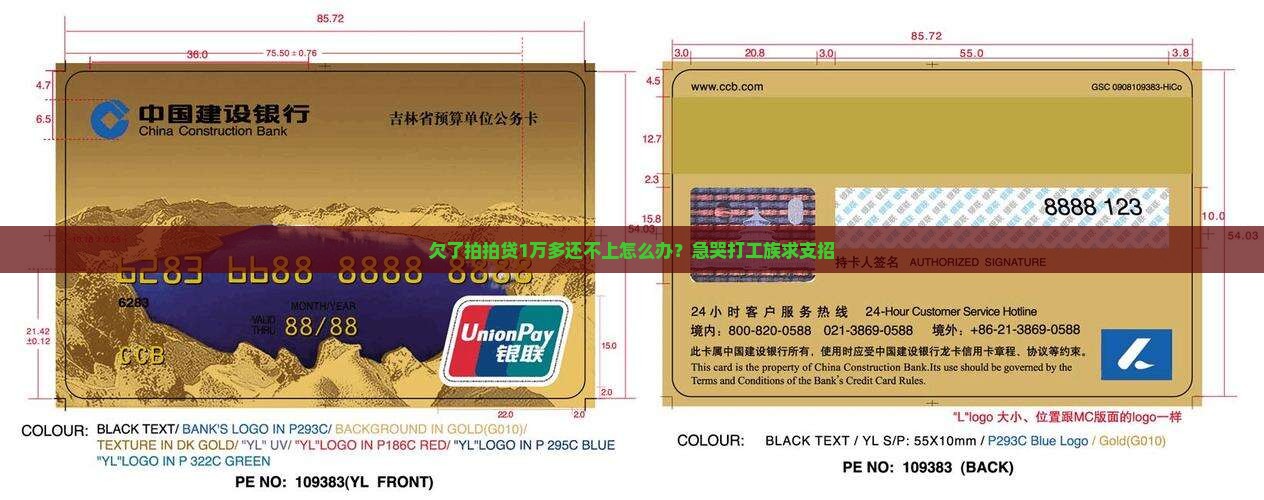 欠了拍拍贷1万多还不上怎么办？急哭打工族求支招