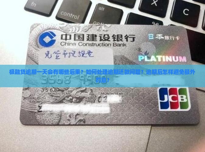 极融贷逾期一天会有哪些后果？如何处理逾期还款问题？逾期后怎样避免额外罚息？