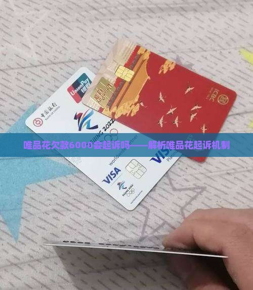 唯品花欠款6000会起诉吗——解析唯品花起诉机制