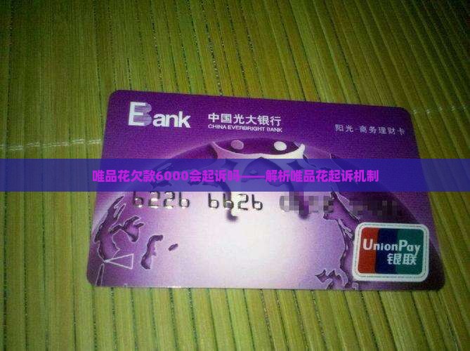 唯品花欠款6000会起诉吗——解析唯品花起诉机制