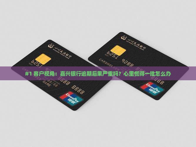 #1 客户视角：嘉兴银行逾期后果严重吗？心里慌得一批怎么办