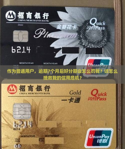 作为普通用户，逾期7个月后好分期会怎么罚我？该怎么挽救我的信用危机？