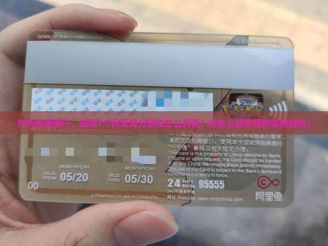 作为普通用户，逾期7个月后好分期会怎么罚我？该怎么挽救我的信用危机？