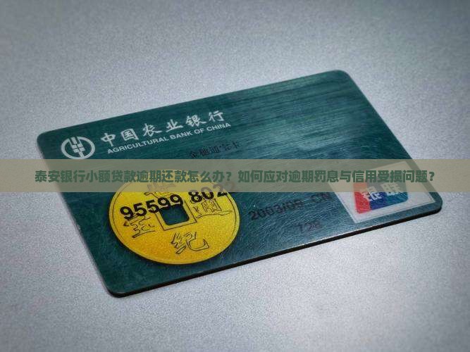 泰安银行小额贷款逾期还款怎么办？如何应对逾期罚息与信用受损问题？
