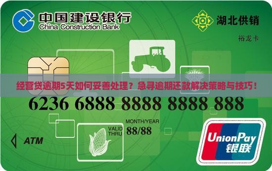 经营贷逾期5天如何妥善处理？急寻逾期还款解决策略与技巧！