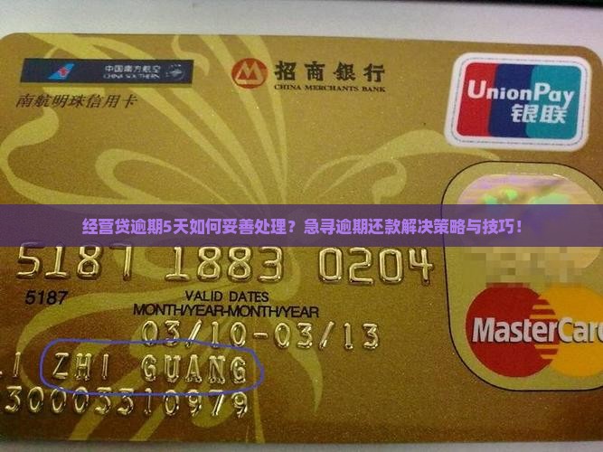 经营贷逾期5天如何妥善处理？急寻逾期还款解决策略与技巧！
