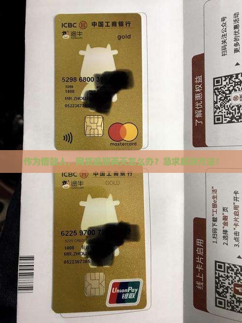 作为借款人，网贷逾期两天怎么办？急求解决方法！