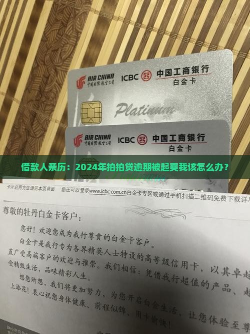 借款人亲历：2024年拍拍贷逾期被起爽我该怎么办？