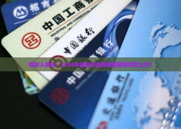 借款人亲历：2024年拍拍贷逾期被起爽我该怎么办？
