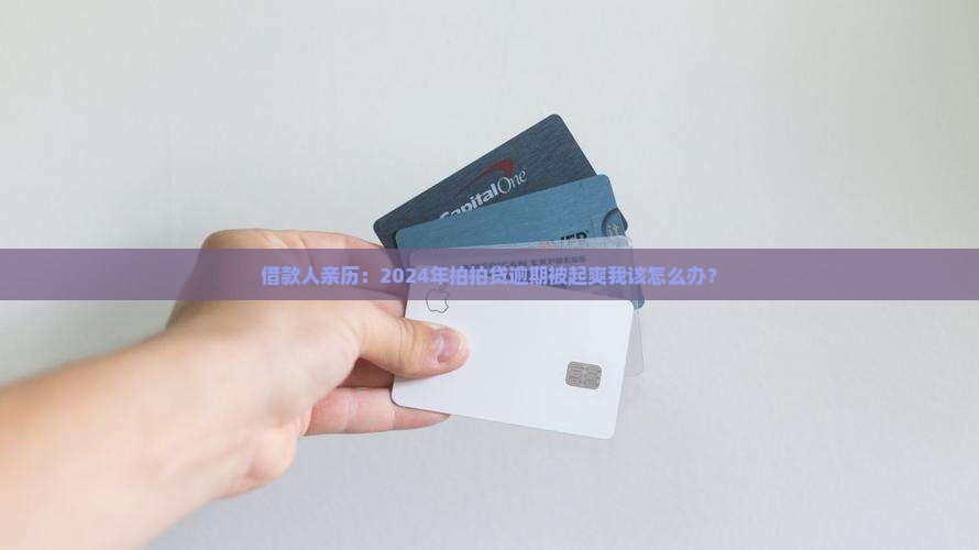 借款人亲历：2024年拍拍贷逾期被起爽我该怎么办？