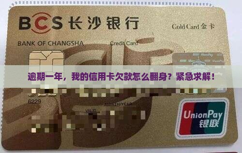 逾期一年，我的信用卡欠款怎么翻身？紧急求解！