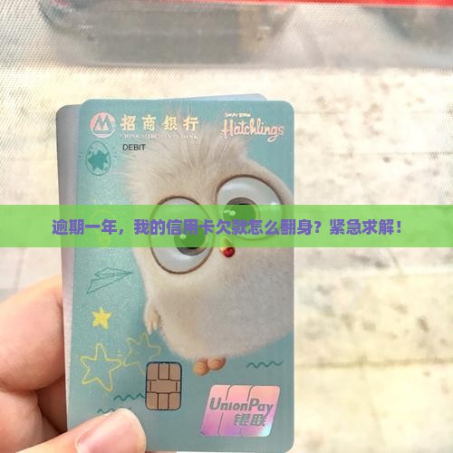 逾期一年，我的信用卡欠款怎么翻身？紧急求解！