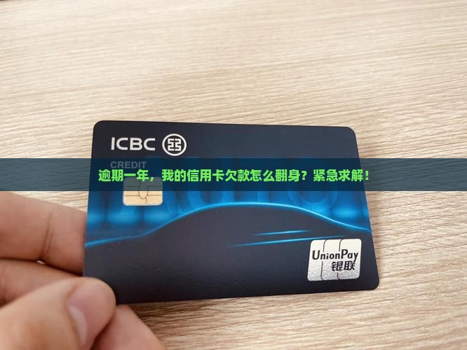 逾期一年，我的信用卡欠款怎么翻身？紧急求解！