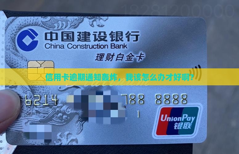 信用卡逾期通知轰炸，我该怎么办才好啊？