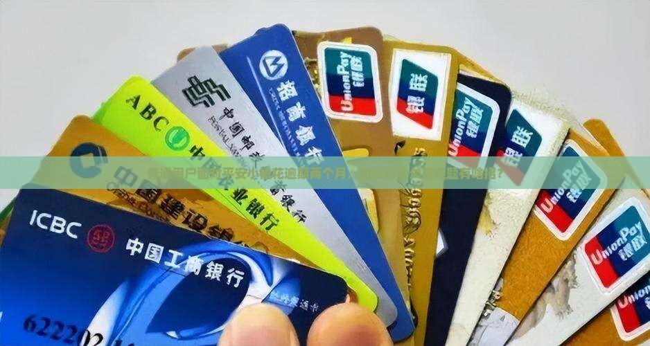 普通用户面对平安小橙花逾期两个月，协商解决欠款难题有啥招？