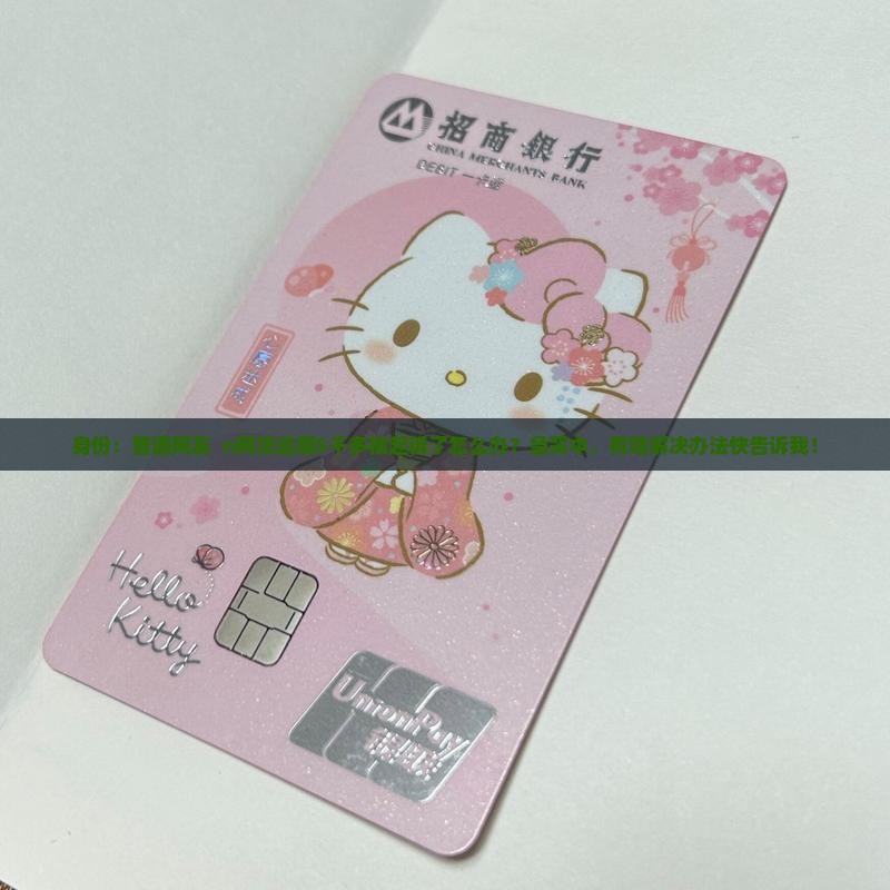身份：普通网友  n网贷逾期5千多被起诉了怎么办？急哭中，有啥解决办法快告诉我！