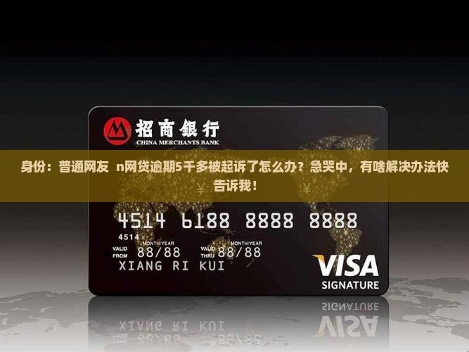 身份：普通网友  n网贷逾期5千多被起诉了怎么办？急哭中，有啥解决办法快告诉我！