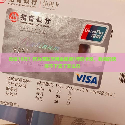负债18万？作为浦发万用金逾期1年的卡奴，我真的快撑不下去了怎么办